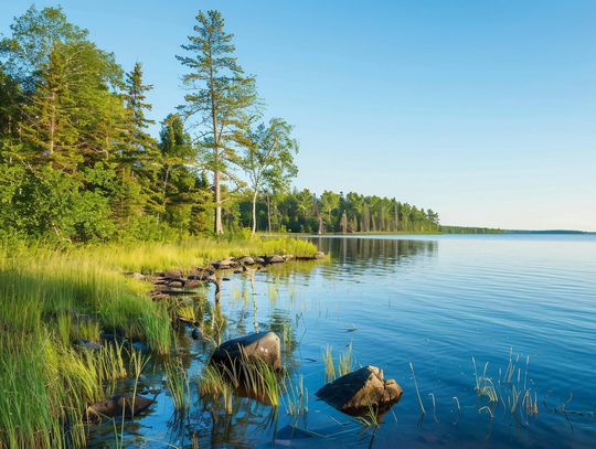 Letter to the Editor….the Forest Service and Congress must take responsibility for honoring the documents they signed