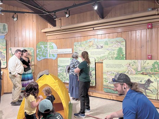 Little Wolf Exhibit at IWC has grant opening
