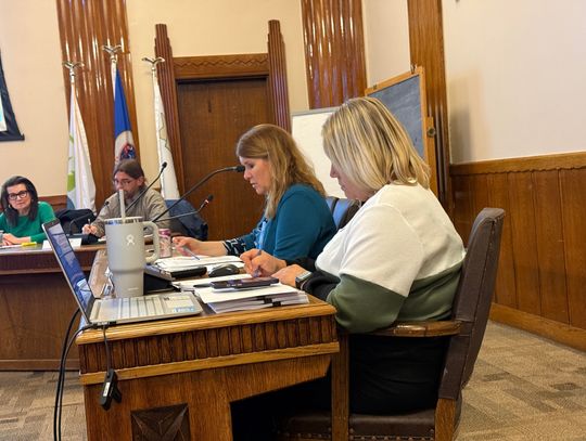 Lobbyist report tops a very brief Ely City Council session