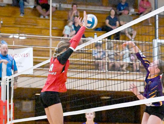 Marathon week for Wolves