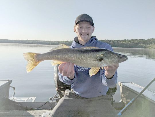 Minnesota DNR proposes to reduce statewide walleye limit from six to four