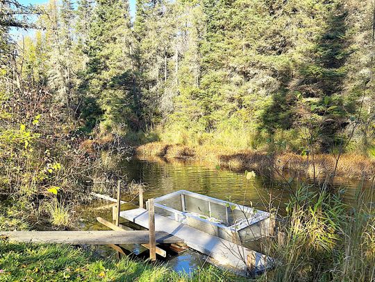Muskies Moving from Local Aquatic Management Area