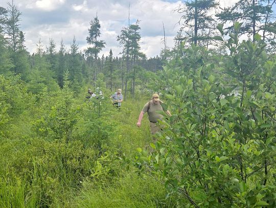 Naturalists Walking a Fen