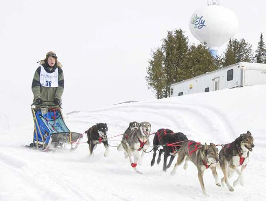 New champs at WolfTrack New champs at WolfTrack