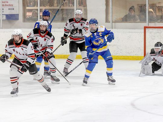 New coach, old coach for Wolves