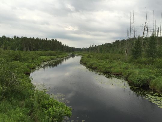 New order reopens more BWCAW entry points