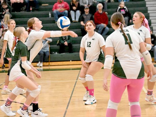 Nighthawks fall to Cherry