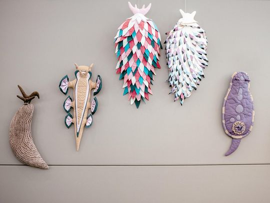 Nudibranch Art Show opens in Ely