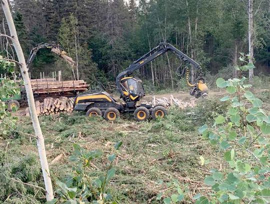 Objection to Forest Service prescribed burn proposal cites need for new road near BWCA