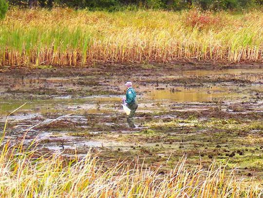 October and Migration Sitings Continue