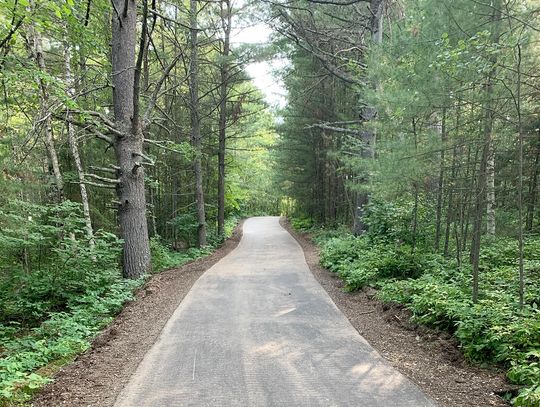 Prairie restoration underway on Trezona Trail