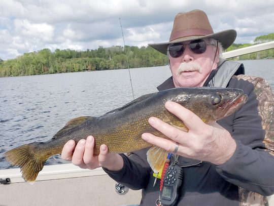 Public input sought on reducing statewide the walleye limit from six to four in 2027
