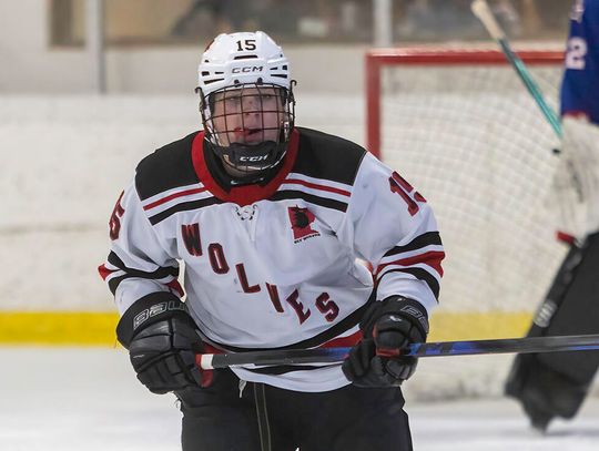 Skaters home for playoffs