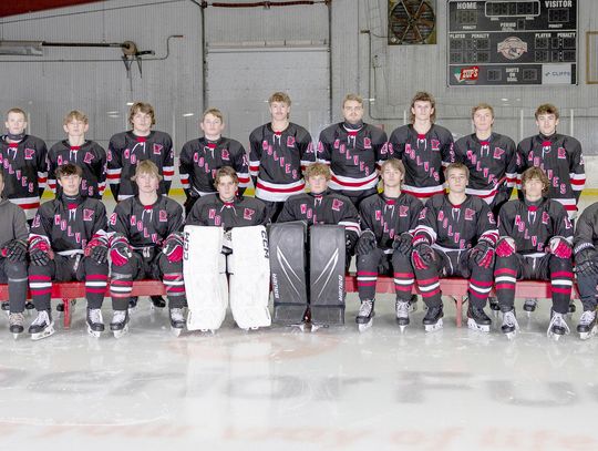 Skaters home for playoffs