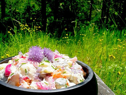 End of the Road Recipes:  Smoked Salmon Potato Salad