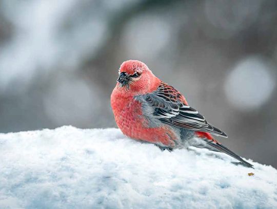 So Happy to See You So Happy to See You