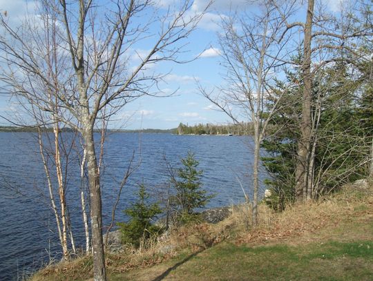 St. Louis County to fund nine area projects aimed at combatting aquatic invasive species