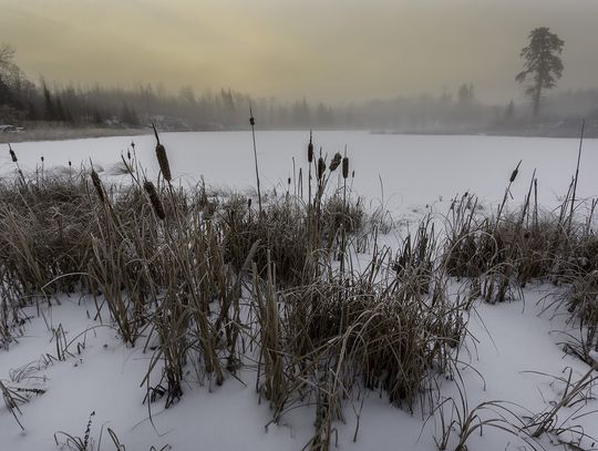 This week’s Minnesota DNR Conservation Officer reports