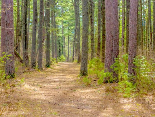 This week’s Minnesota DNR Conservation Officer reports