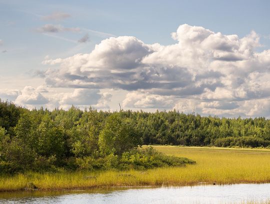 This week’s Minnesota DNR Conservation Officer reports
