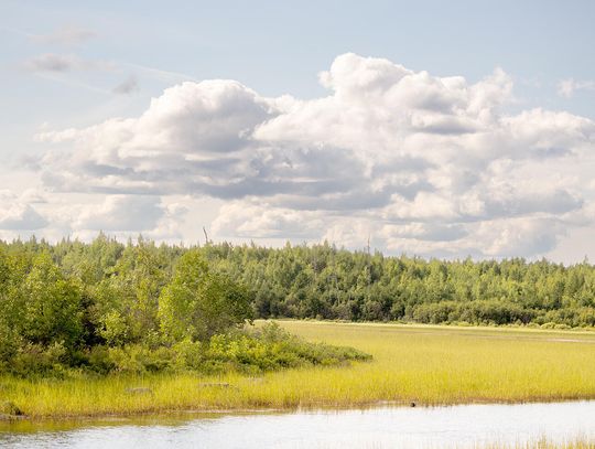 This week’s Minnesota DNR Conservation Officer reports