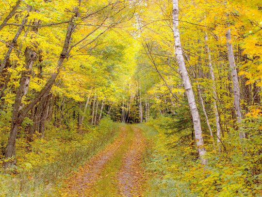 This week’s Minnesota DNR Conservation Officer reports