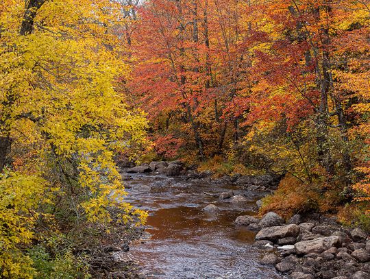 This week’s Minnesota DNR Conservation Officer reports
