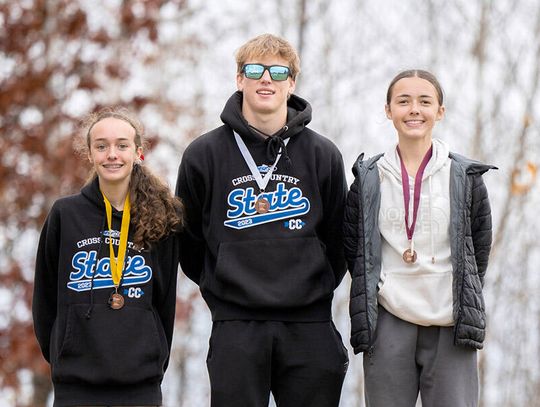 Three Wolves punch tickets to state in CC