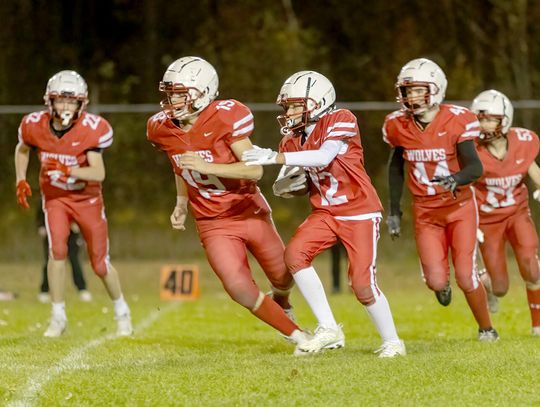 Timberwolves put on a good show but fall by two points to Braham