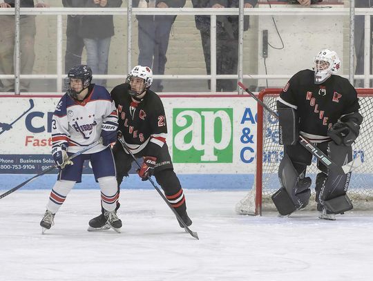 Top seed blows out Ely hockey team Top seed blows out Ely hockey team