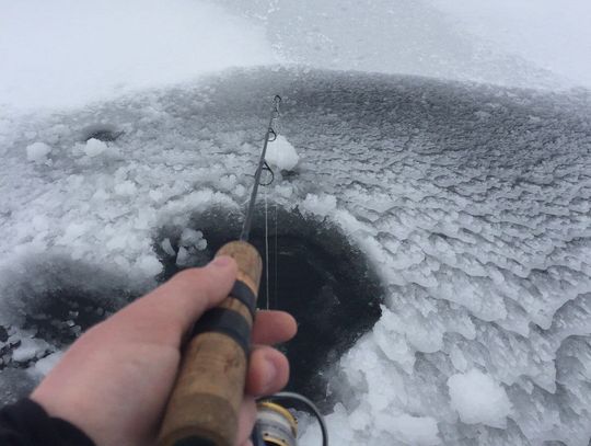 Trout Whisperer A miracle on ice Trout Whisperer A miracle on ice