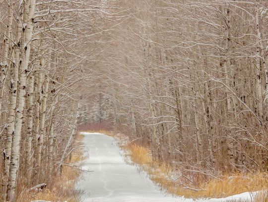 Trout Whisperer - Canis la’traveler