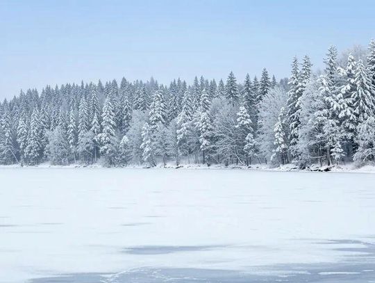 Trout Whisperer - I’m coming, I’m coming...