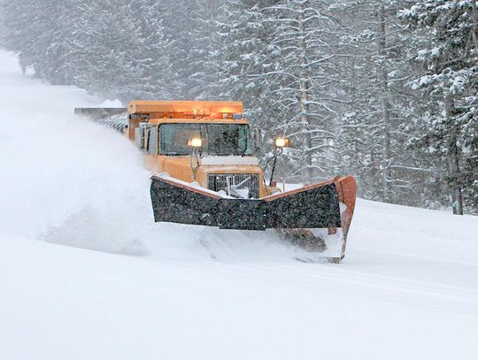 Trout Whisperer - Let’s take the high road shall we Trout Whisperer - Let’s take the high road shall we
