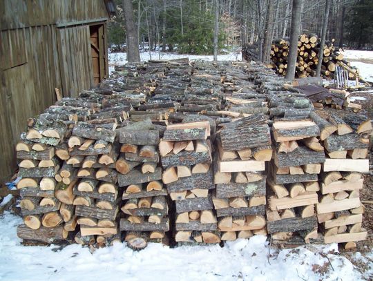 Trout Whisperer - Oak, because it’s solid