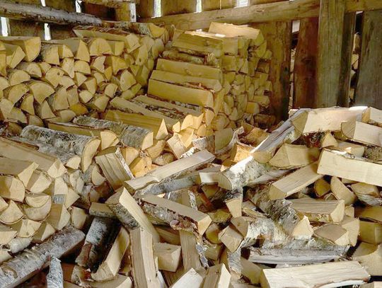 Trout Whisperer - The Energizer bunny would be so proud