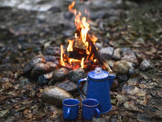 Trout Whisperer - The java non-expresso