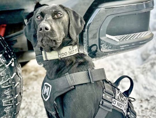 Vermilion grad returns with First Defense K9 for movie filming in Ely