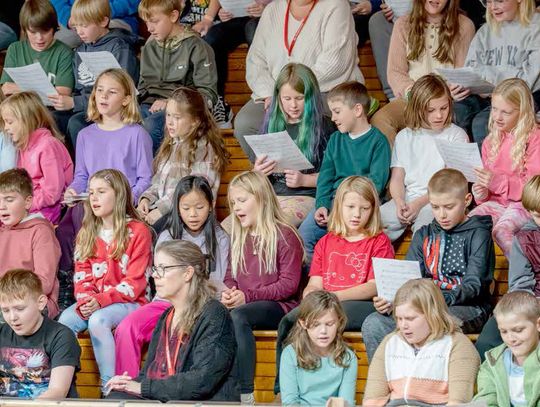 VETERANS DAY PROGRAM AT ELY SCHOOLS VETERANS DAY PROGRAM AT ELY SCHOOLS