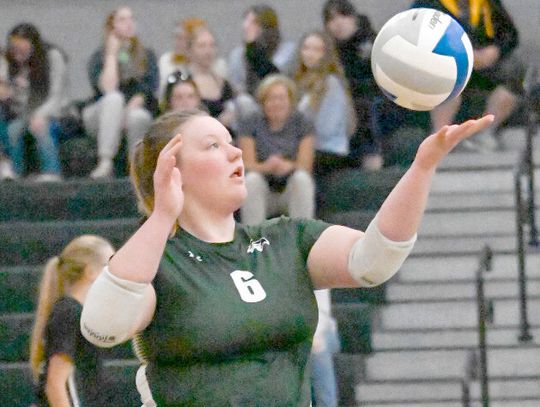 Volleyball team gaining experience