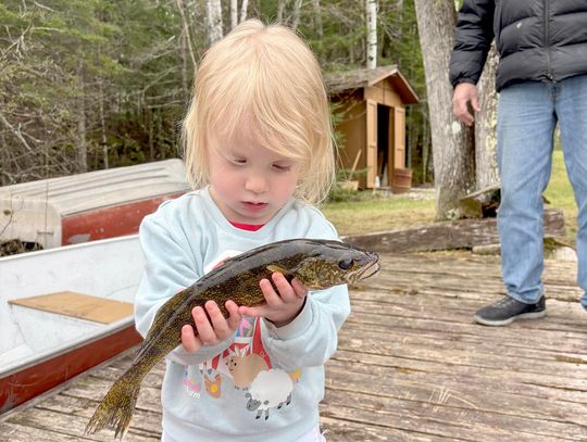 Voyageur North Outfitters Weekly Fishing Report