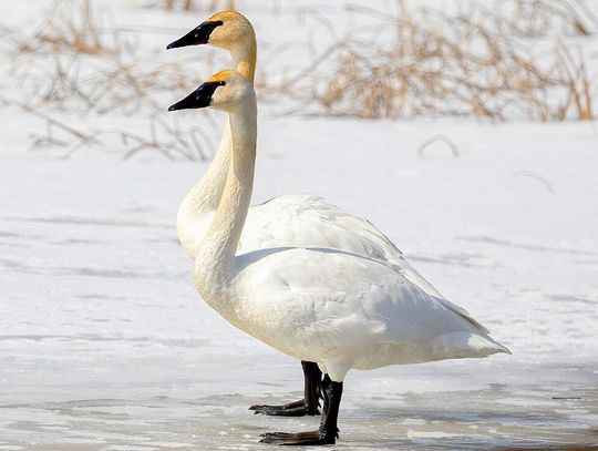 What is happening? Everything exists with a flow of changes over time