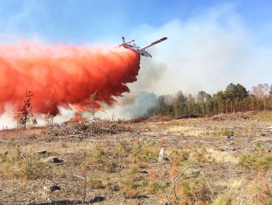 Wildfire precautions and protocols for property owners in the Ely area