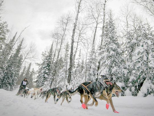 WolfTrack weekend arrives WolfTrack weekend arrives