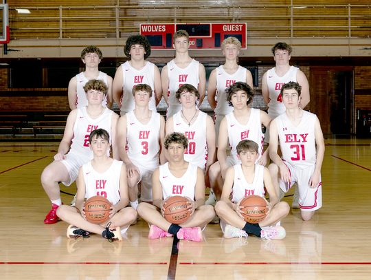 Wolves go down in 7A quarters