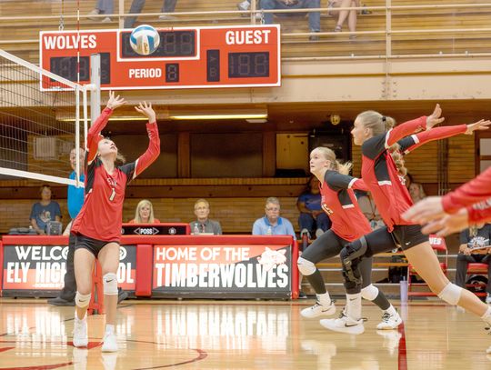 Wolves off to solid start