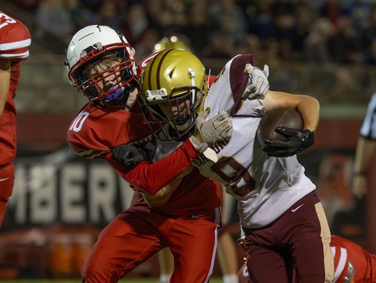 Wolves score, but drop second