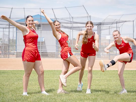 Wolves shine on state stage