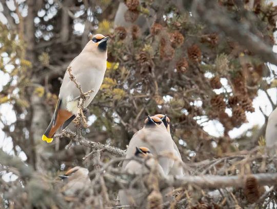 Zooming In and Out of Time and Place