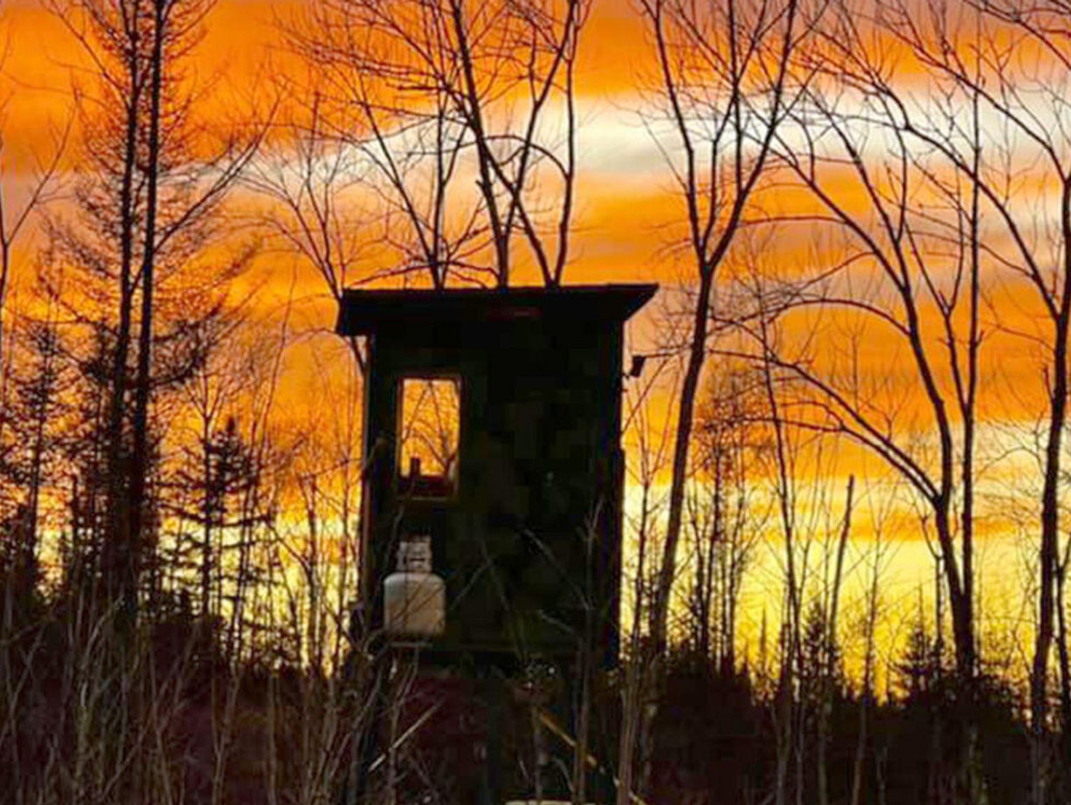 DNR What NE MN deer hunters can expect this season